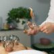 Cupping Therapy